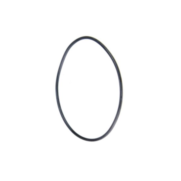 Кольцо уплотнительное 82X4, ZF 0634313805 95531938 Euroricambi Кольцо уплотнительное 82X4, ZF 0634313805 95531938 Euroricambi