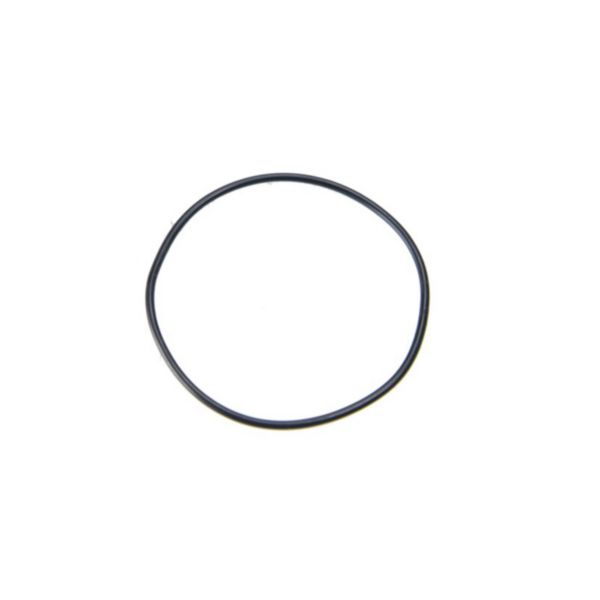 Кольцо уплотнительное 59X2, ZF 0634314018 95531941 Euroricambi Кольцо уплотнительное 59X2, ZF 0634314018 95531941 Euroricambi