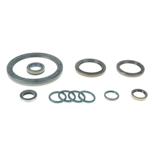 Комплект сальников, ZF 1315298002 95535924 Euroricambi Комплект сальников, ZF 1315298002 95535924 Euroricambi